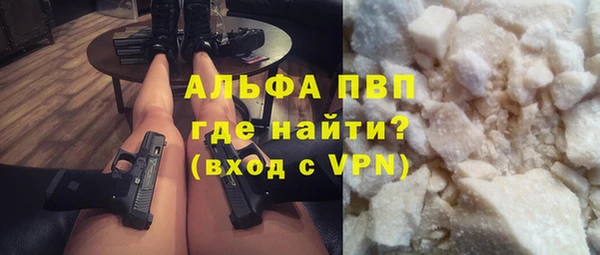 СК Медвежьегорск