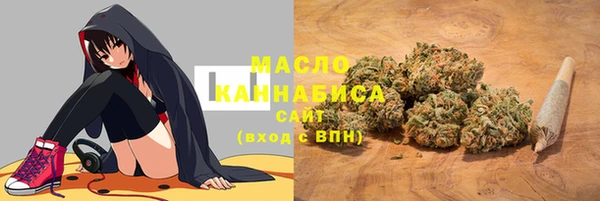 СК Медвежьегорск