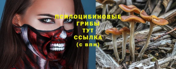 гашиш Медногорск