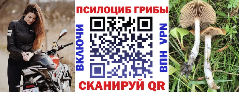 Псилоцибиновые грибы мицелий  Нахабино 